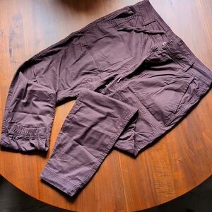 Tentree joggers size 34